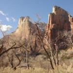 Zion Nationa Park - Utah